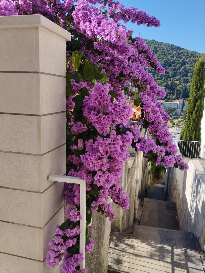 Apartment Elelo Dubrownik Zewnętrze zdjęcie